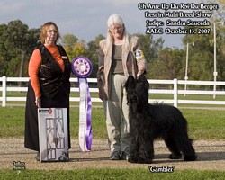 American Bulldog Club