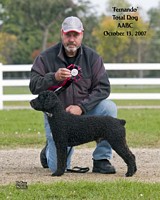 American Bulldog Club