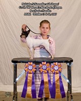 American Bulldog Club