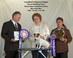 American Bulldog Club