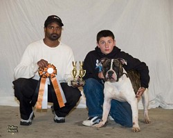 American Bulldog Club