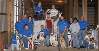 working bulldog club
