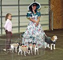American Bulldog Club