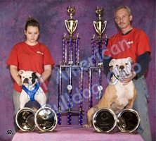 American Bulldog Club