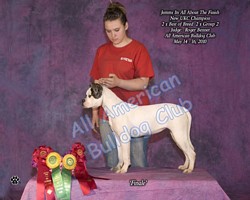 American Bulldog Club