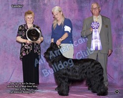 American Bulldog Club
