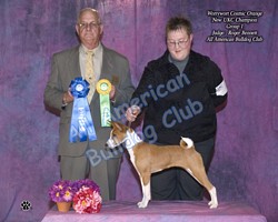 American Bulldog Club