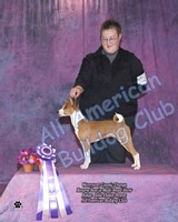 American Bulldog Club