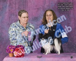 American Bulldog Club