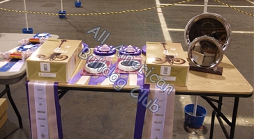 American Bulldog Club