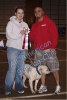 American Bulldog Club