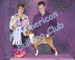 American Bulldog Club