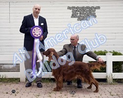 American Bulldog Club