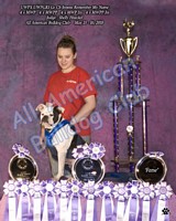 American Bulldog Club