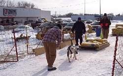 American Bulldog Weight Pull Event